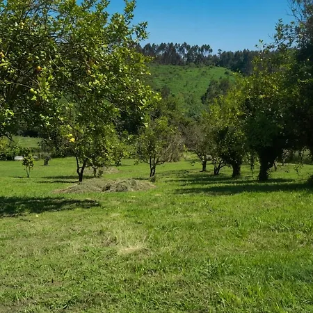 La Casa Del Alba - Un Paraiso Rural